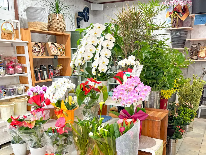 ひまわり生花店 店内商品