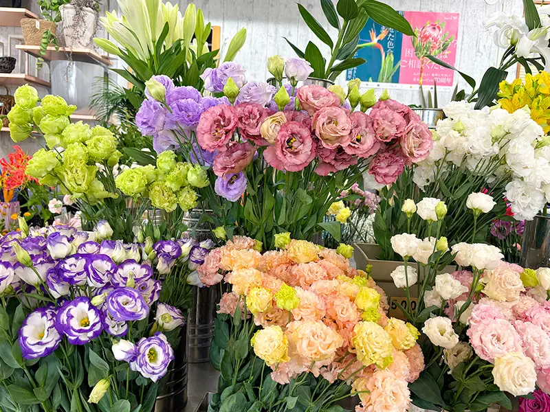 ひまわり生花店 店内商品
