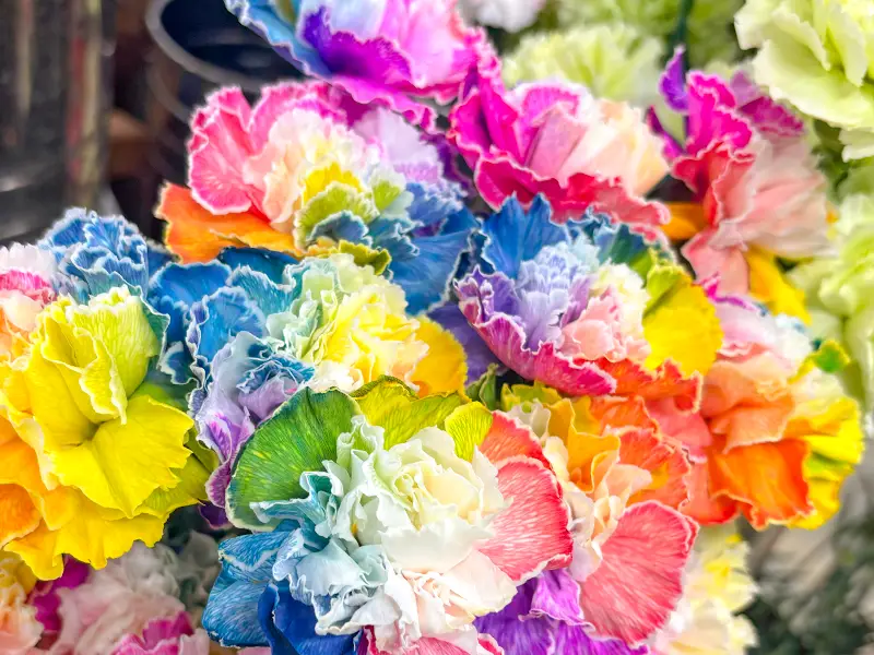 ひまわり生花店 店内商品