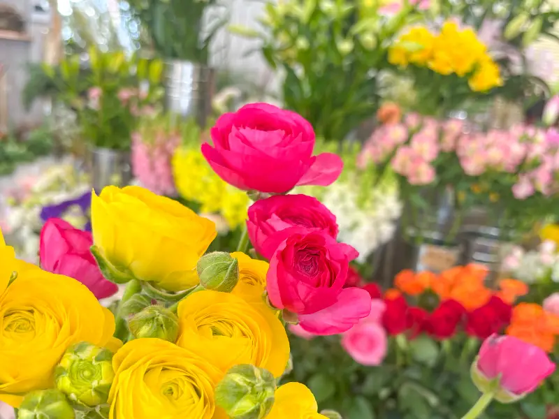 ひまわり生花店 店内商品