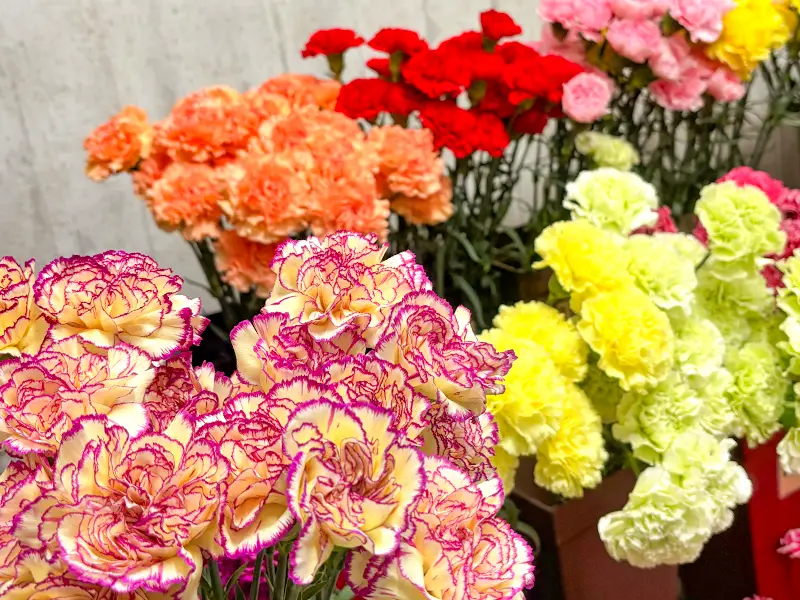 ひまわり生花店 店内商品