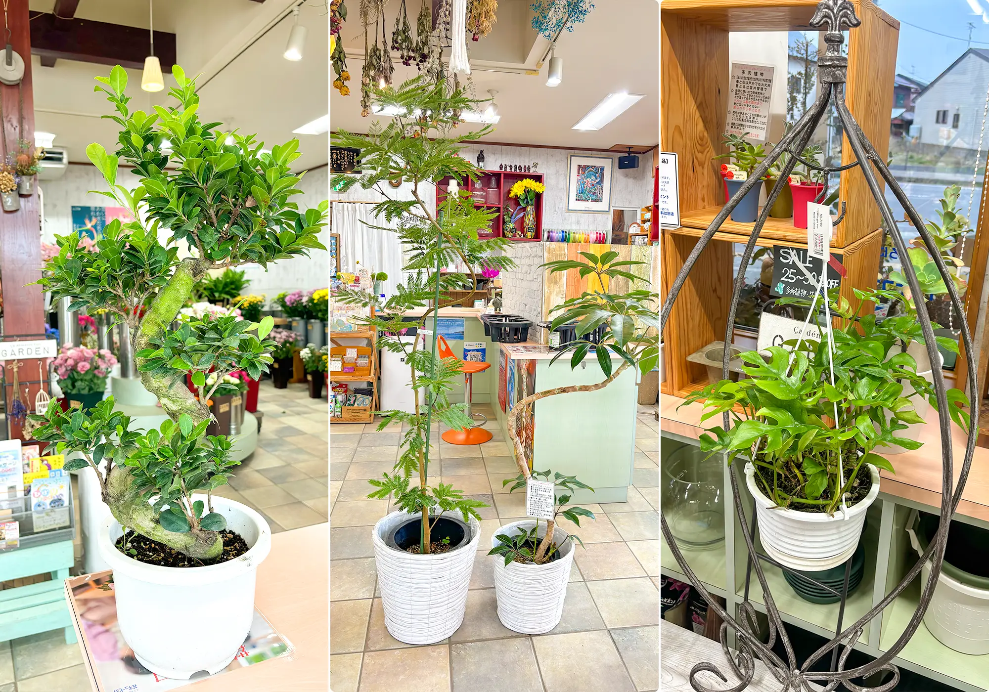 ひまわり生花店