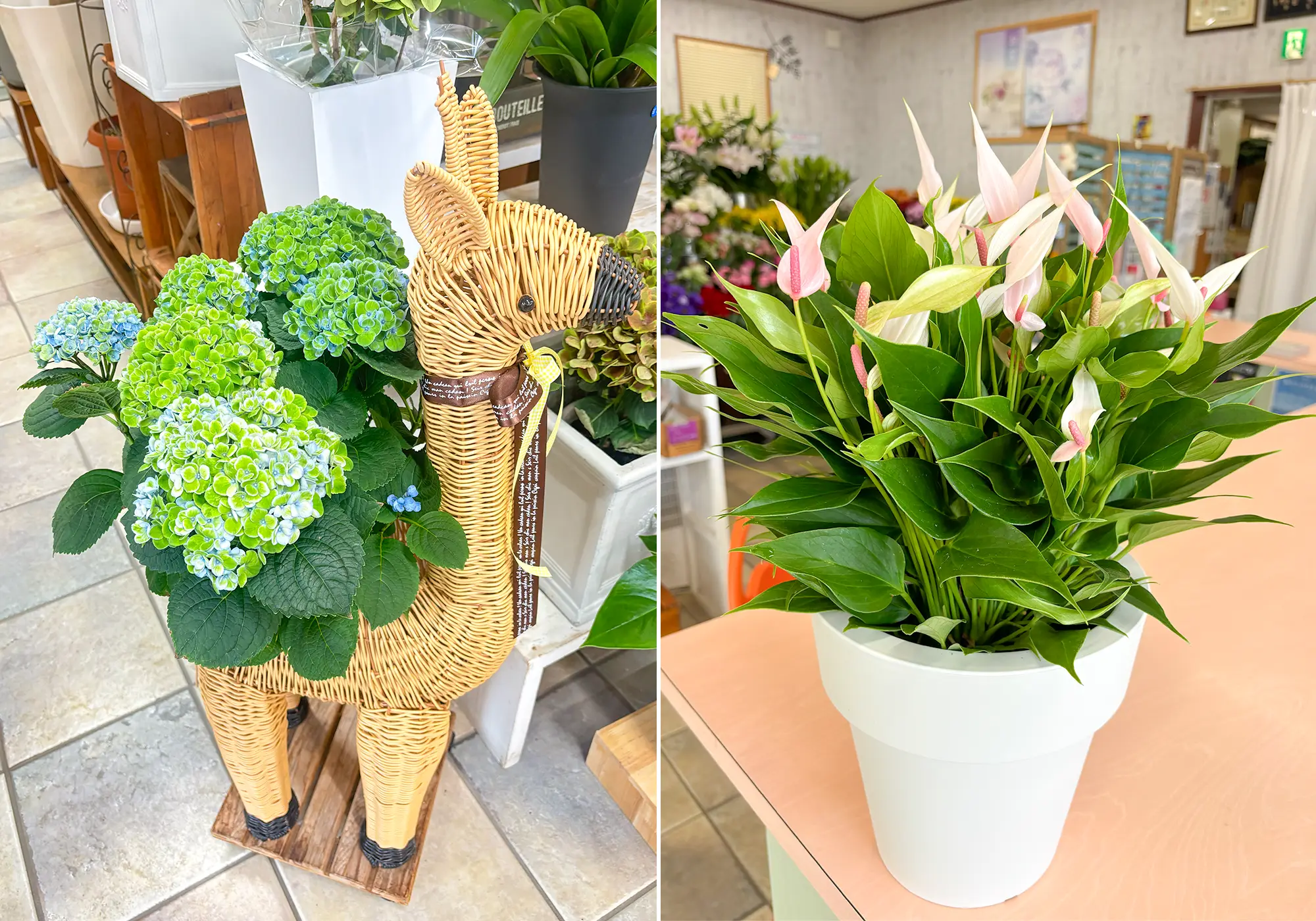 ひまわり生花店