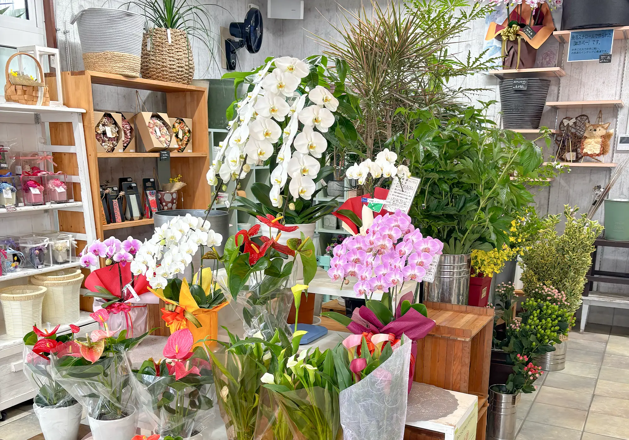 ひまわり生花店