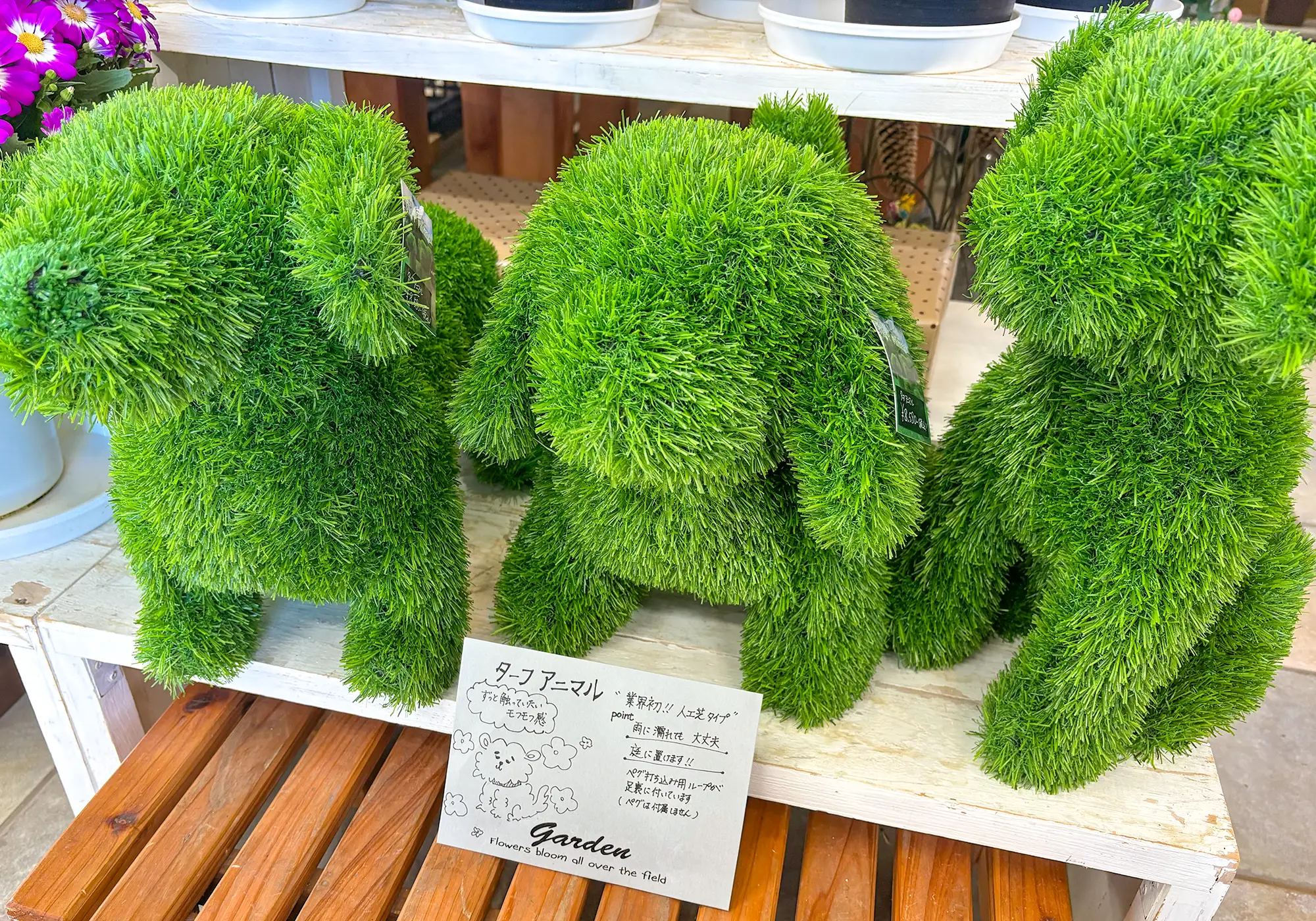 ひまわり生花店